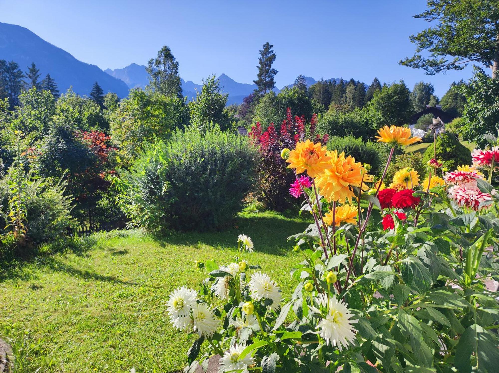 Ferienwohnung Soiernblick Kruen Baernbichl Buitenkant foto